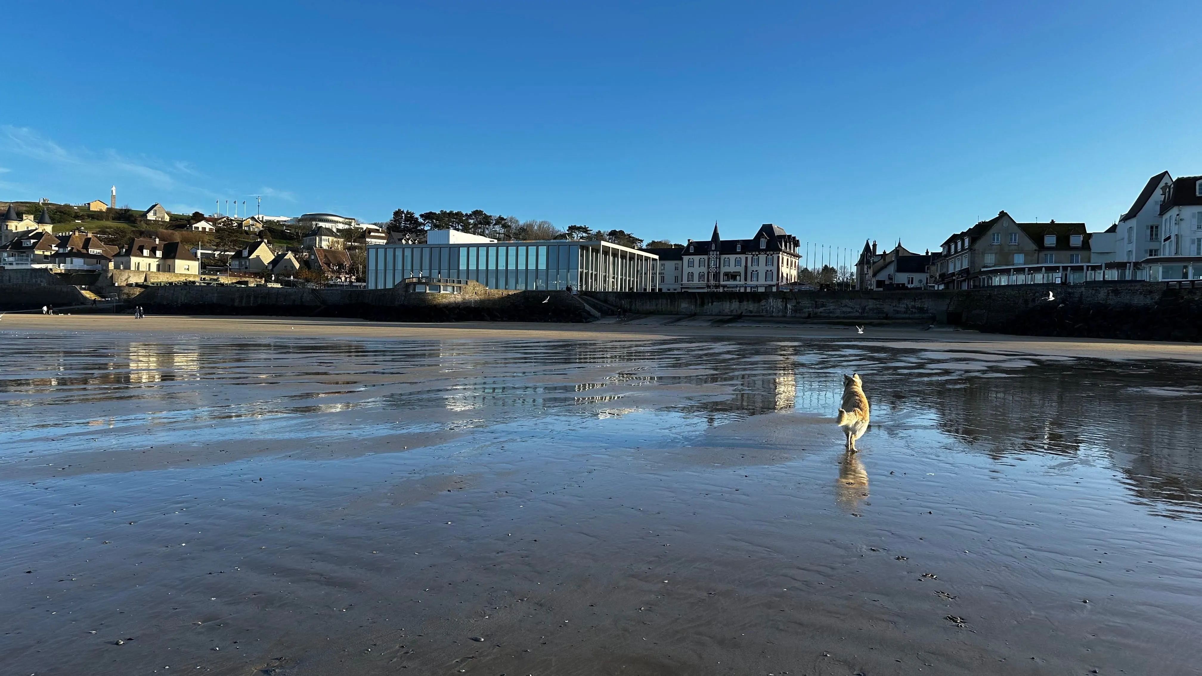 Arromanches seafront at low tide with the houses reflected on the wet sand