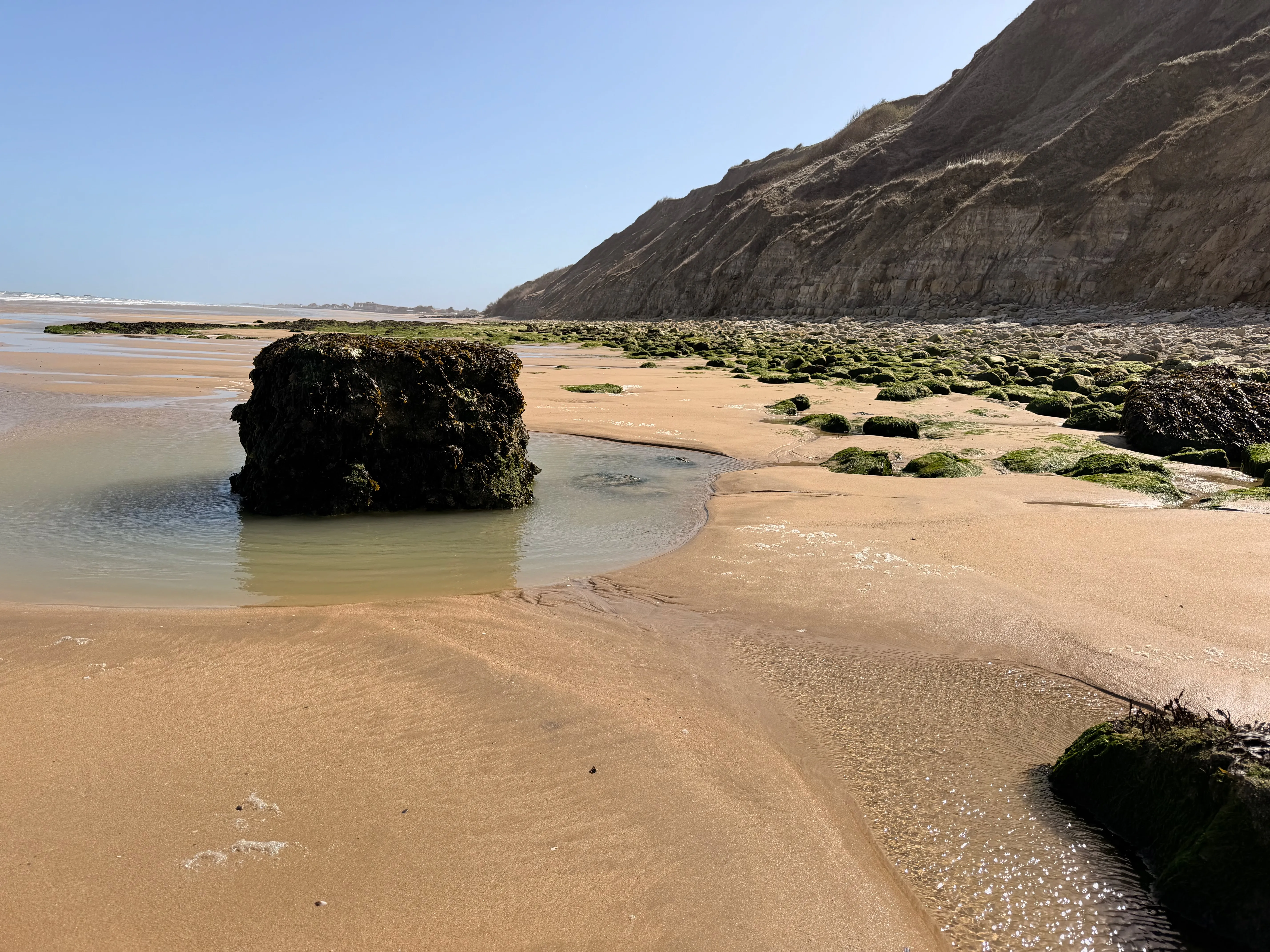 Rocks covered in green seaweed at the foot of the Gold Beach cliffs at low tide